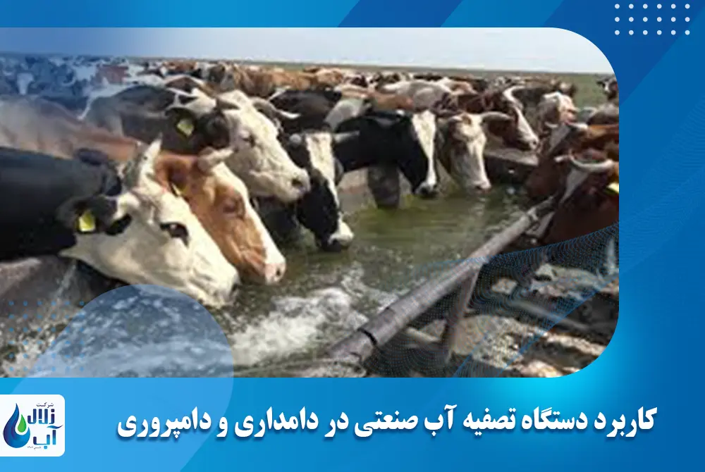 کاربرد دستگاه تصفیه آب صنعتی در دامداری و دامپروری