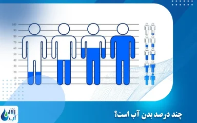 چند درصد بدن آب است؟