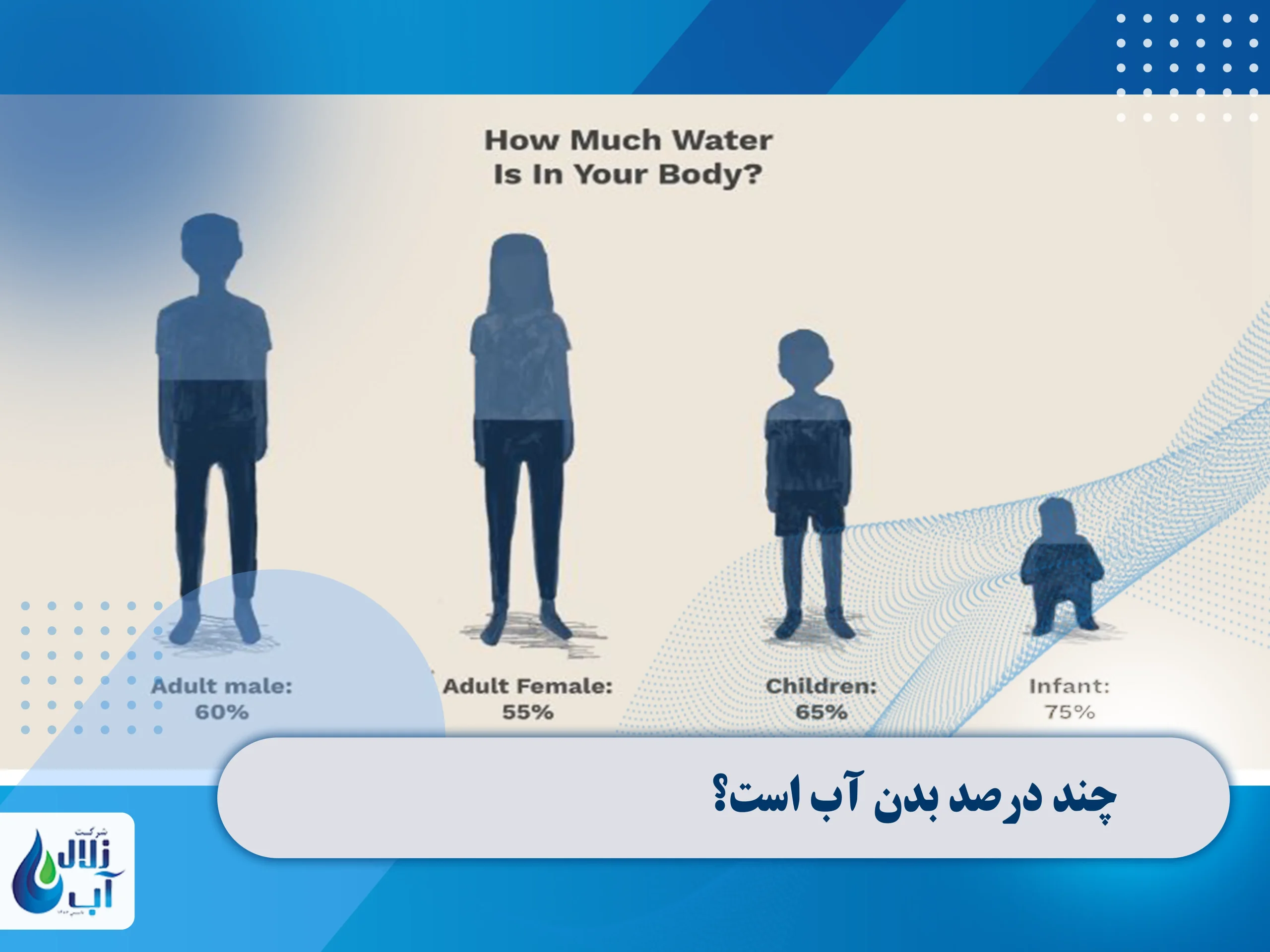 چند درصد بدن آب است؟
